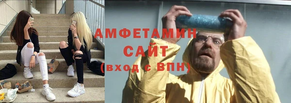 индика Абаза