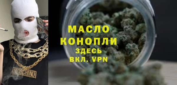 индика Абаза