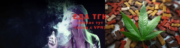 индика Абаза
