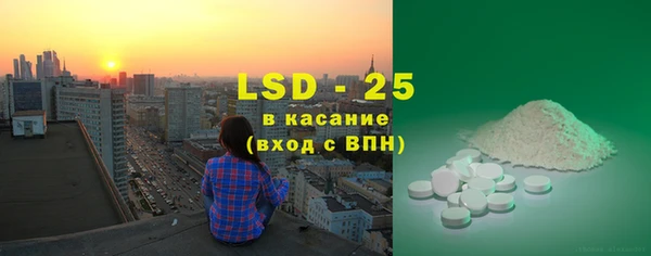 индика Абаза