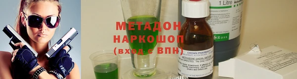 индика Абаза