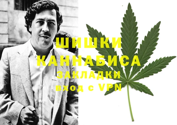 дживик Абинск