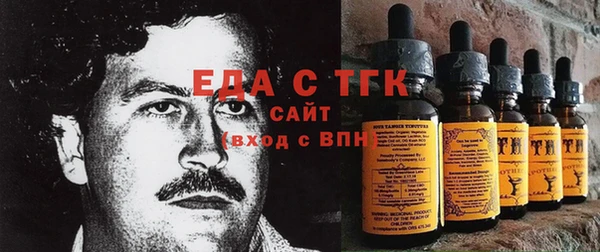 индика Абаза