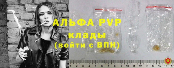 индика Абаза