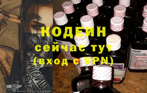 индика Абаза