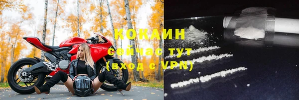 дживик Абинск