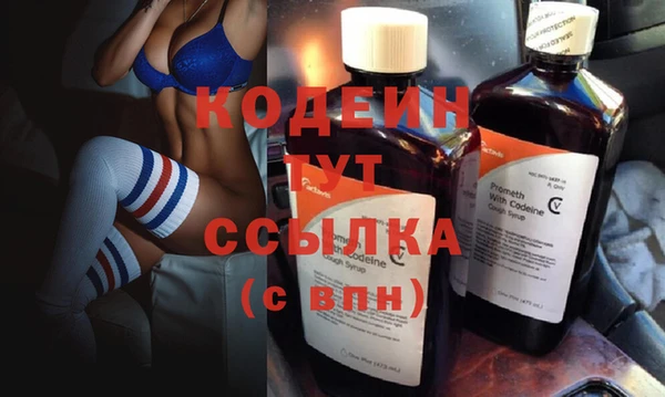 индика Абаза
