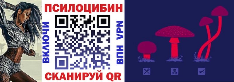 цены наркотик  Хабаровск  Галлюциногенные грибы Magic Shrooms 